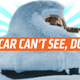 Illustration for article titled How To Keep Your Car Clean So It Can ‘See’ In Winter